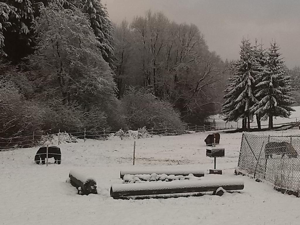 Muehlenhof Stadtkyll Extérieur photo